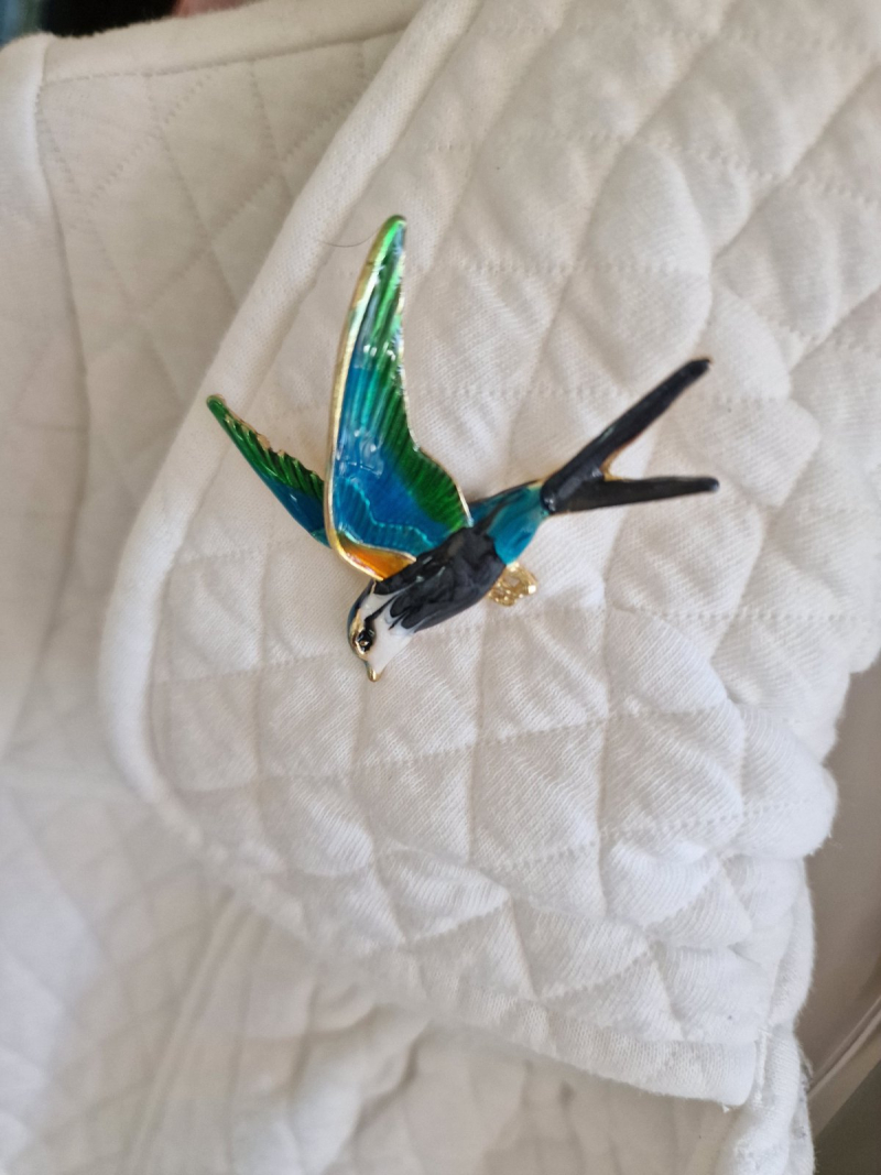 Vtáčik čo letí s tebou 